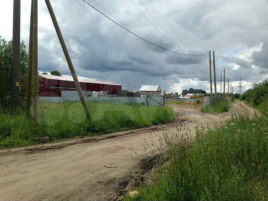 37 соток. Родионцево Вологодский район фото. Родионцево 66 Вологда фото. Родионцево Вологда фото. Родионцево 50 б Вологда.