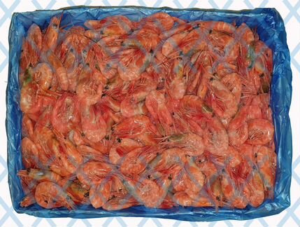 Магаданские креветки 70/90 5кг оригиналсвежие дат