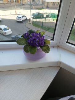 Цветы