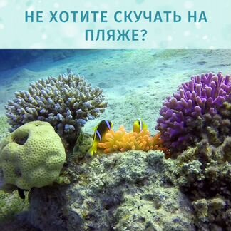 Обучение дайвингу - базовый курс Open Water Diver