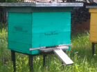 Домик для пчел с жителями и инвентарем