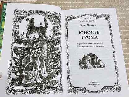Юность грома коты. Коты воители юность грома читать. Хантер эрин "юность грома". Коты воители солнечный путь. Эрин хантер коты воители.