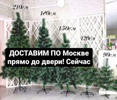 Ёлки Москва доставимсейчас