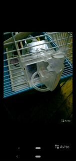 Клетка для птиц