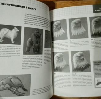 Пособие по рисованию животных